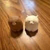 gachafunds